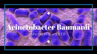 Acinetobacter Baumanii  Factores de patogenicidad y virulencia [upl. by Evante]