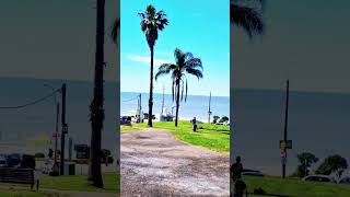 Zona Buceo montevideo turismouruguay viralvideo [upl. by Killie]