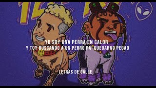 J BALVIN x TOKISCHA  PERRA LetraLyrics [upl. by Enomis]