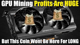 GPU Mining PROFITS EXPLODE  But Dont FOMO Into Rigs Yet [upl. by Korns939]