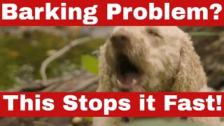 How to Stop Dogs from Barking Fast – Proven Methods [upl. by Khoury]