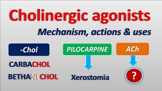 Cholinergic agonists  Mechanism actions side effects amp uses [upl. by Ecyak]