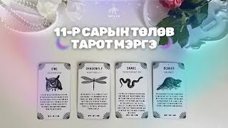 202411р сарын төлөв байдал тарот мэргэ  Ерөнхий ажил карьер харилцаа [upl. by Amadis465]