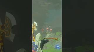 Master Mode Snipes The Legend of Zelda Breath of the Wild [upl. by Nagaer]