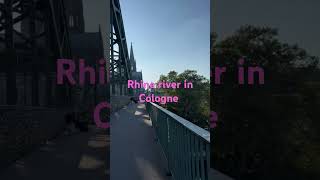 Rhine river in Cologne 😊😊 shortvideo  river [upl. by Hyacinth192]