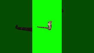 Snake  Free download Green screen [upl. by Nimesay]