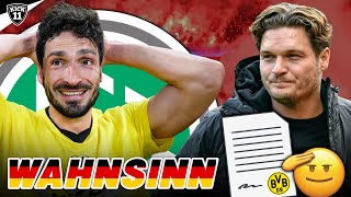 HUMMELSHAMMER beim DFB BVB holt NEUZUGANG  KickNews [upl. by Jamnis4]