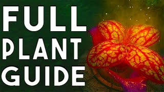 Zetsubou No Shima  Full Plant Growing Guide [upl. by Kieffer]