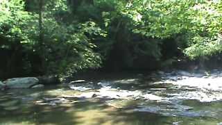 Fishing in the Broad River near Lake Lure N C [upl. by Sperry]