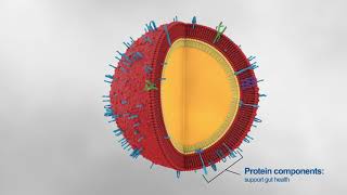 Milk Fat Globule Membrane MOA [upl. by Nibur]