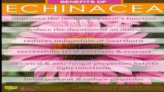 Benefits of Echinacea [upl. by Delgado34]