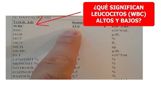 ¿QUÉ SIGNIFICAN LEUCOCITOS WBC ALTOS Y BAJOS [upl. by Nolat303]