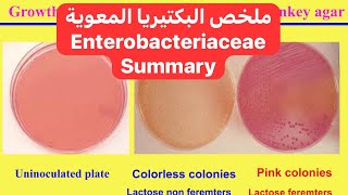 ملخص البكتيريا المعوية Enterobacteriaceae Summary [upl. by Lewiss]