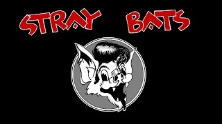 Stray Bats  Ubangi stomp Stray Cats cover [upl. by Eirolav684]