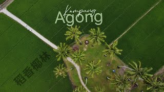 Kampung Agong  你不可错过的稻香椰林  槟城甘榜阿贡  Penaga Penang  Drone Footage [upl. by Anauj]