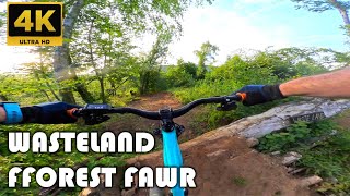 Fforest Fawr  Wasteland MTB Trail [upl. by Annaig]