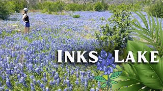 Peak WILDFLOWER Season in Texas Inks Lake State Park [upl. by Ellenij819]