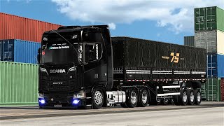 2  Um Brasileiro Perdido na Europa No Puxe da Soja ETS2 [upl. by Chansoo648]