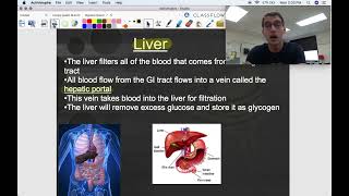 Lower GI Tract  Human Anatomy amp Physiology Digestive System [upl. by Nathalie]