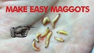 wwwmonstertutorialscom  How to make easy maggots with liquid latex [upl. by Ayamahs]