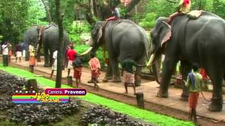 Pooram Thenme Song Pooram Varavayi [upl. by Aikkan]