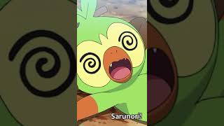 Facts about Grookey you might not know  Pokemon Facts PokeFacts [upl. by Ankeny]