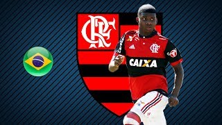 LINCOLN  Flamengo  Goals Skills Assists  20172018 HD [upl. by Zoba]