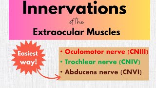 Innervations of the extraocular muscles [upl. by Jueta747]