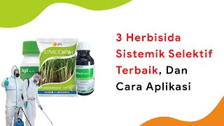 Aplikasi Herbisida Sistemik Harus Begini 3 Herbisida Sistemik Selektif Teratas [upl. by Leirda221]