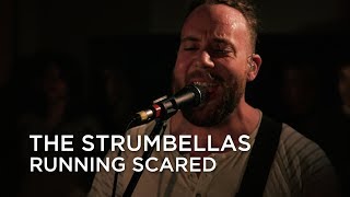 The Strumbellas  Running Scared  First Play Live [upl. by Eugilegna928]