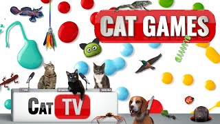 CAT Games  Ultimate Cat TV Compilation Vol 66  2 HOURS 🐝🐞🦋🦎🦜🐜🐭🧵 [upl. by Oramlub498]