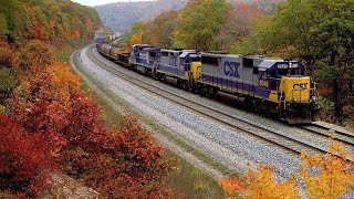 BNSF NORTHERN Channel  Fall 24 Railcar Slideshow [upl. by Nnov]