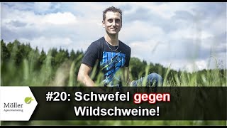 Grünlandprofi gibt Tipps Schwefellinsen gegen Wildschweine im Grünland einsetzen Teil 20 [upl. by Patrizio]