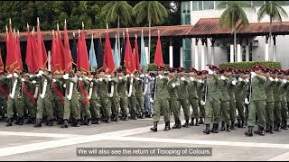 Behind The Scenes of SAF Day Parade 2023 [upl. by Hgeilyak]