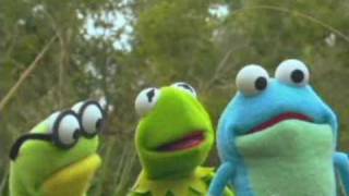 Kermits Swamp Years Trailer 2002 [upl. by Ayk683]