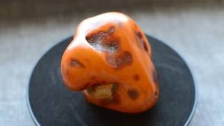 250 gr Genuine vintage natural baltic amber raw stone [upl. by Enamrahs]