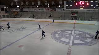 Bottineau Blue Line Club Hockey [upl. by Ghiselin642]