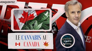 Enquête Exclusive 2021  LE CANNABIS AU CANADA  ENQUÊTE EXCLUSiVE [upl. by Yessej]