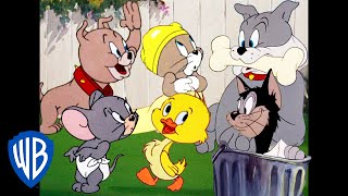 Tom y Jerry en Latino  Todos menos Tom y Jerry  WB Kids [upl. by Yv]