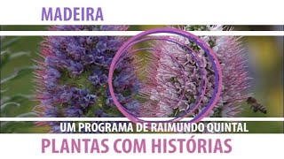 Plantas com Histórias  Plantas endémicas do litoral madeirense [upl. by Valtin]