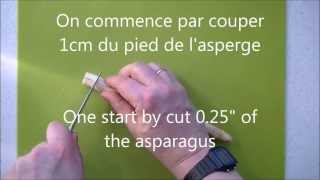 Comment préparer des asperges  How to prepare asparagus [upl. by Ellery]