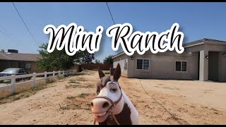 🌲🌲🌲 MINI RANCH in Hesperia Ca 🌴🌴🌴 [upl. by Noval330]