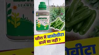 बायोवीटा खाद  Biovita Fertilizer  seaweed agriculture cucumber farming biovita farmer [upl. by Nnylirehs]