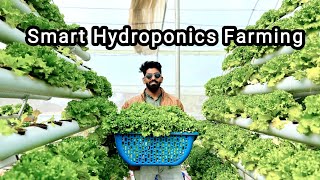 Hydroponic Farming Guide A Detailed Tour of Innovative Indoor Gardening Techniques [upl. by Evin]