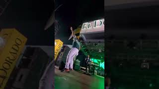 kestheband performing Fuh spite LIVE at Stinging Nettles 2024 [upl. by Shannen]