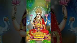 रुद्रांश स्टूडियो। 🙏Mata Lakshmi ka Aashirwad ssmb27 shortsfeed short love👍🔔 [upl. by Zenger]