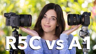 Canon R5c vs Sony A1 Hands On Video And Stills Camera Comparison [upl. by Felicidad]