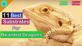 Top 11 Best Substrates For Bearded Dragons in 2022  with Pros amp Cons  Whats Best [upl. by Rakabuba]