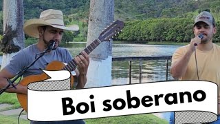 Boi soberano [upl. by Elleirad]