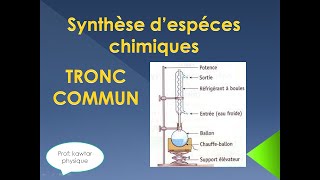 synthèse despèces chimiques TRC [upl. by Carlene421]